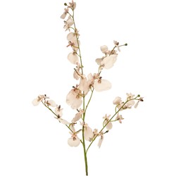 Greenmoods Kunsttak Orchidee - Nep plant - 1 Stuk - 80cm - Roze-