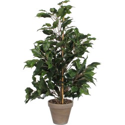 Mica Decorations Ficus Exotica Kunstplant - H65xØ 40 cm - Groen