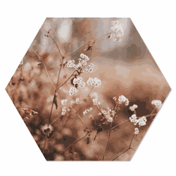 Label2X Muurhexagon cosy flower Dibond - Aanbevolen / 18 x 15 cm - 18 x 15 cm