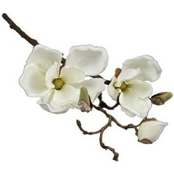Magnolia cinthya wit kunstbloem zijde nepbloem