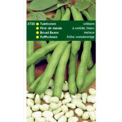 5 stuks - 