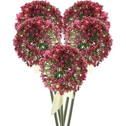 5 x Kunstbloemen steelbloem roze/rode sierui 70 cm - Kunstbloemen