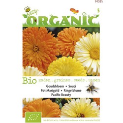 5 stuks - Bio-Ringelblume Pacific Beauty (Skal 14725) Organic - Buzzy