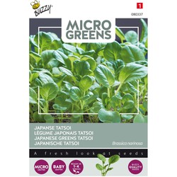 5 stuks - Microgreens Tatsoi - Buzzy