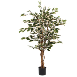 Ficus kunstplant - H110 x Ø70 cm - Groen Bont Royal | Echt hout (Stam)