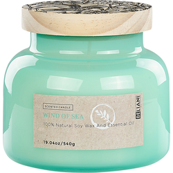 DELIGHT BLISS - Geurkaars - Blauwgroen - Soja wax