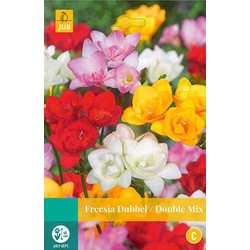 3 stuks - Freesia dubbel mix 15 bollen