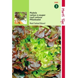 2 stuks - Samen Gehackter Salat Rote Salatschüssel Oakleaf - Hortitops
