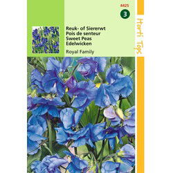 2 stuks - Lathyrus Odor. Royal Family Blauw