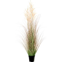 Louis Maes Quality kunstplant - Siergras met pluim - groen/bruin - H125 cm - in pot - Kunstplanten