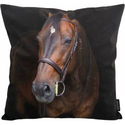 Paard / Horse | 45 x 45 cm | Kussenhoes | Katoen/Polyester