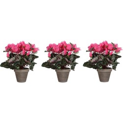 Mica Decorations Kunstplant - 3x stuks - cyclaam - roze - 30 cm - Kunstplanten