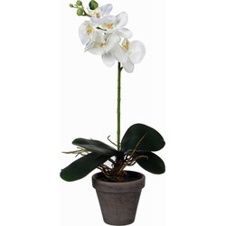 Phalaenopsis Orchidee kunstplant wit in grijze pot H38 x D13 cm - Kunstplanten