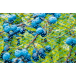 Gartennetz nano blau Maschenweite 8x8mm 22 g/m2 5x2m - Nature