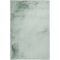 Tapijtenloods Heaven Vacht Vloerkleed Hoogpolig Soft Touch Pastel Groen- 160x230 CM