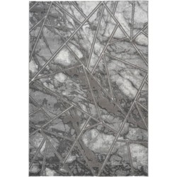Tapijtenloods Fashion Vloerkleed Laagpolig Abstract Grijs- 160x230 CM