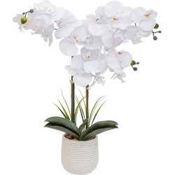 Atmosphera Orchidee bloemen kunstplant in een witte bloempot - witte bloemen - H60 cm - Kunstplanten