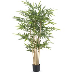 Kunstplant bamboe 150 cm Royal | Echt bamboe | NeverLeafs