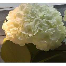 Kunst hortensia tak wit 92 cm