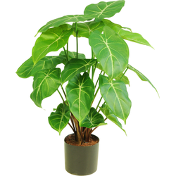 Greenmoods Kunstplant Syngonium - Syngonium podophyllum - Nep plant - 1 Stuk - 58cm