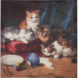 Clayre & Eef Schilderij  60x60 cm Bruin Rood Canvas Katten Canvas schilderij