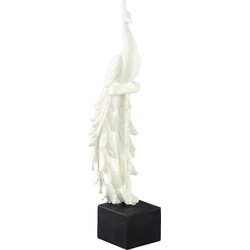 PTMD Annelie White flocking poly statue peacock on base