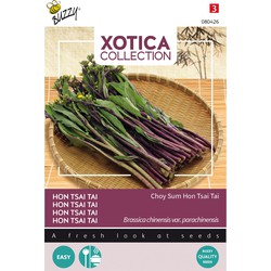 Xotica Purple Choy Sum Hon Tsai Tai - Buzzy