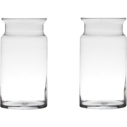 Set van 2x stuks glazen bloemen vaas/vazen 29 x 15 cm transparant - Vazen