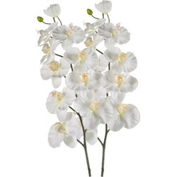 2x Phalaenopsis kunst tak 100 cm wit - Kunstbloemen
