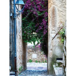 Bougainville steeg 50x70cm Tuinschilderij