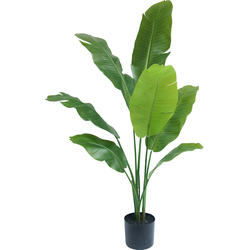 Hoyz Greenery - Kunstplant Strelitzia Nicolai 120 cm