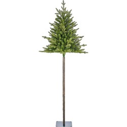 Torrey x-mas tree green TIPS 420 - h215xd84cm