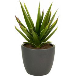 Floran Plantenpot - antraciet grijs - mat - keramiek - 19 x 17 cm - Plantenpotten