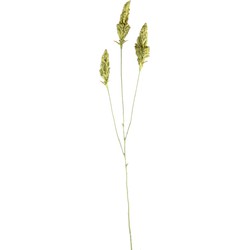 PTMD Kunstplant Berry - 64x38x124 cm - Polyester - Groen