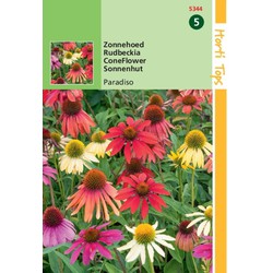 5 stuks - HT Echinacea, Zonnehoed Paradiso - Hortitops