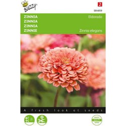 Zaden zinnia eldorado 1 gram