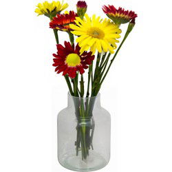 Bela Arte Bloemenvaas - transparant glas - D15 x H20 cm - melkbus - Vazen