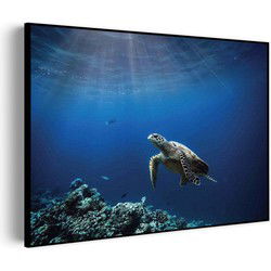 Muurwerken Akoestisch Schilderij - Zeeschildpad In Helderblauw Water 03 - Geluidsdempend Wandpaneel - Wanddecoratie - Geluidsisolatie - BASIC (AW 0.65) L (100x72)
