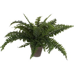 Mica Decorations Kunstplant - varen - groen - in pot - 42 cm - Kunstplanten