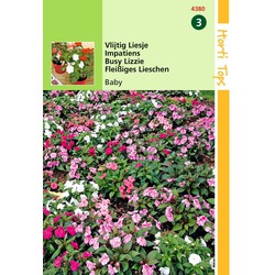 2 stuks - Impatiens Walleriana Baby Gemengd