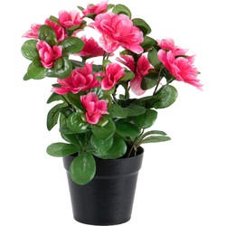 Louis Maes Azalea Kunstplant - in pot - rood/roze - H25 cm - Kunstplanten