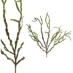 PTMD Succulent Alointak Kunstplant - 56 x 18 x 65 cm - Groen