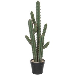 Mica Decorations cactus in plastic pot maat in cm: 39 x 20 x 95