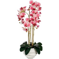 Mica Decorations Kunstplant Phalaenopsis - 40x34x82 cm - Polyester - Roze