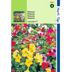 2 stuks - Petunia Pendula Cascade F1 Hybride Gem.