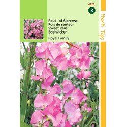 2 stuks - Lathyrus Odoratus Royal Family Rose - Hortitops