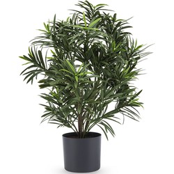 Greenmoods Kunstplant Podocarpus - Nep plant - 1 Stuk - 47cm  -