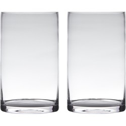Set van 2x stuks glazen bloemen cylinder vaas/vazen 25 x 15 cm transparant - Vazen
