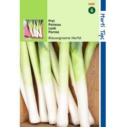 2 stuks - 