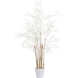 Light & Living - Kunstplant BAMBOO - 70x60x90cm - Bruin
